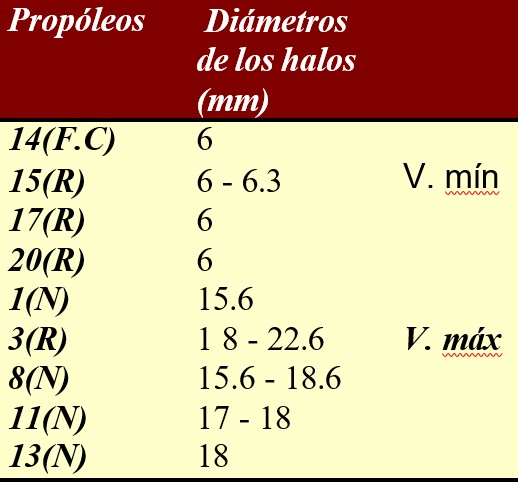 Valores mínimos y máximos de los diámetros de los halos de inhibición correspondientes a los propóleos más significativos obtenidos en la Técnica de los Discos de Celulosa.