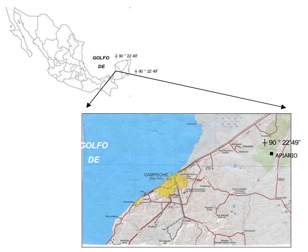 Localización del área de estudio.