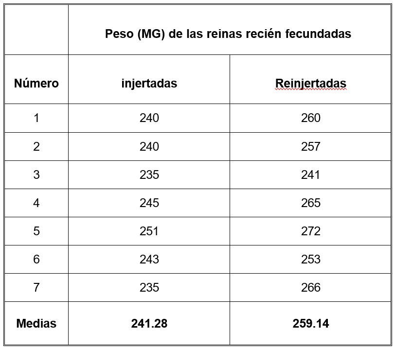 Peso de las reinas fecundadas, obtenidas por injerto y por reinjerto